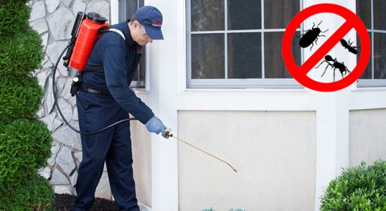 Digor Bit İlaçlama böcek ilaçlama ve haşere kontrolü — ilaclama-tr.com